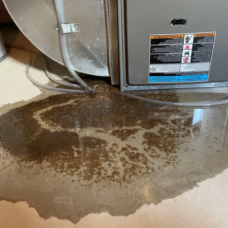 Pipe Burst and Leak Restoration in Harlan County, KY