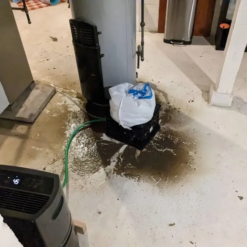 Sewage Backup Cleanup Service in Harlan County, KY
